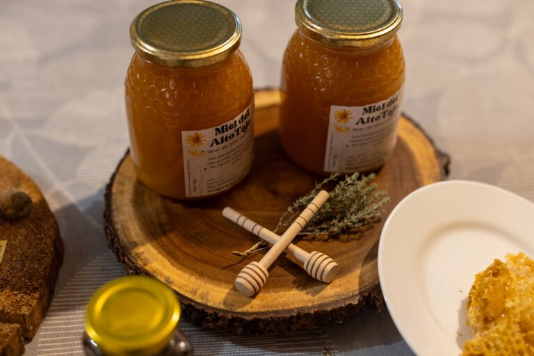 Productos sin deforestación importada